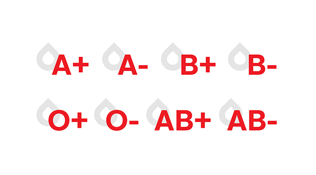 What Foods Are Good For B Negative Blood Type